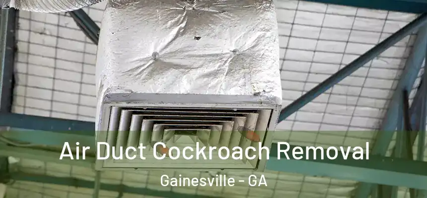 Air Duct Cockroach Removal Gainesville - GA