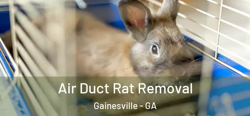  Air Duct Rat Removal Gainesville - GA