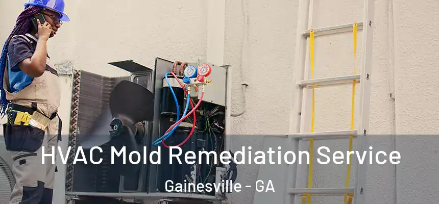  HVAC Mold Remediation Service Gainesville - GA