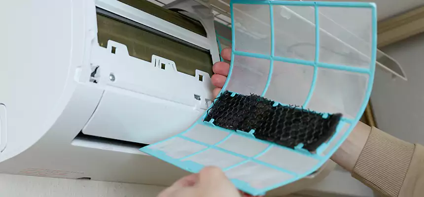 Gentle Ductwork Odor-Control Pet Dander Duct Cleaning in Gainesville, GA