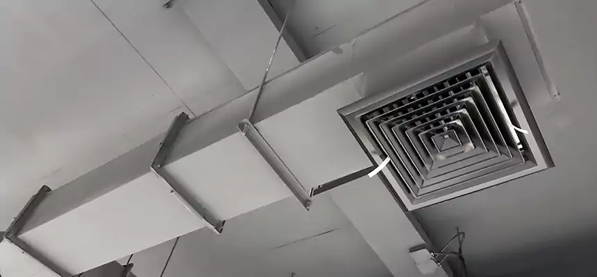 Our Rodent Droppings In Vents Services in Gainesville, GA