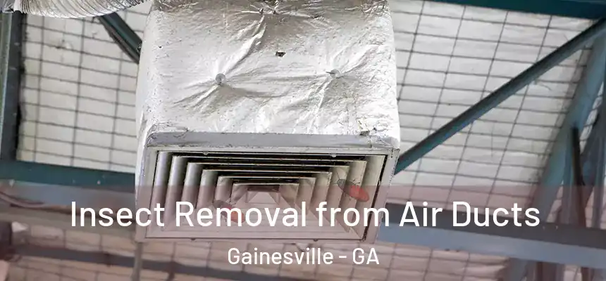  Insect Removal from Air Ducts Gainesville - GA