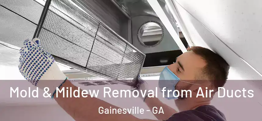  Mold & Mildew Removal from Air Ducts Gainesville - GA
