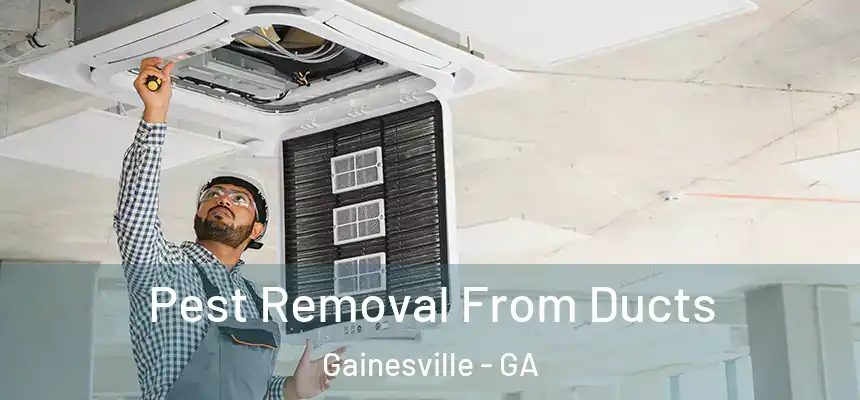  Pest Removal From Ducts Gainesville - GA