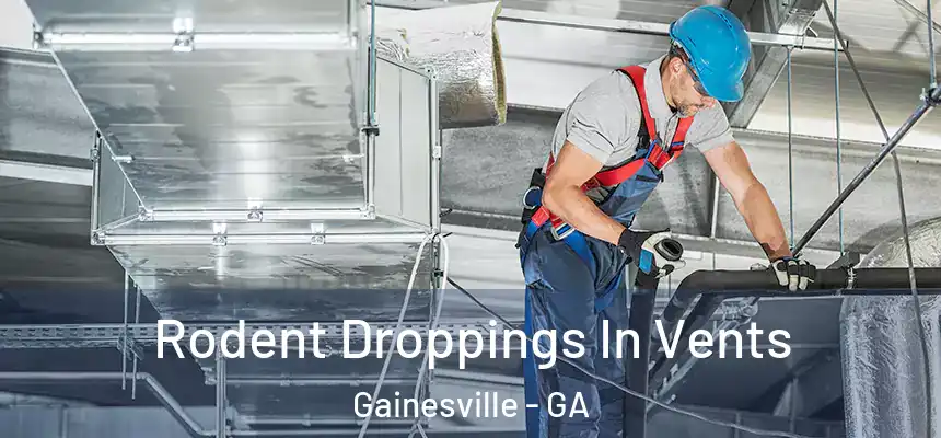  Rodent Droppings In Vents Gainesville - GA