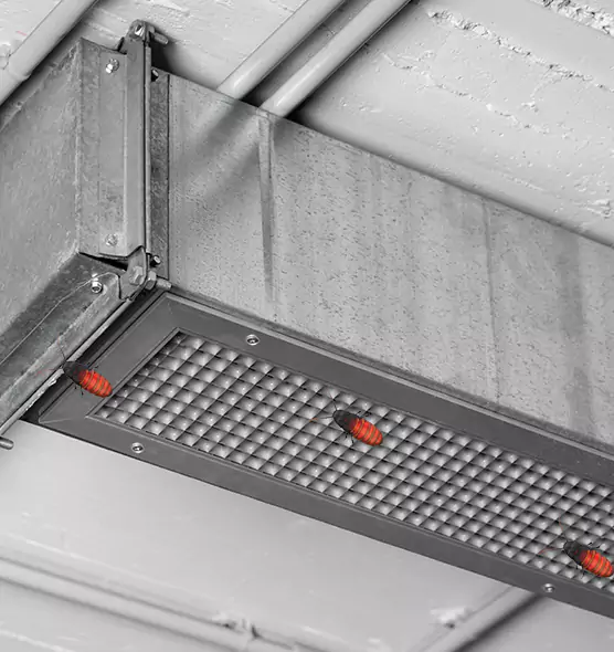 About Air Duct Cockroach Removal in Gainesville, GA