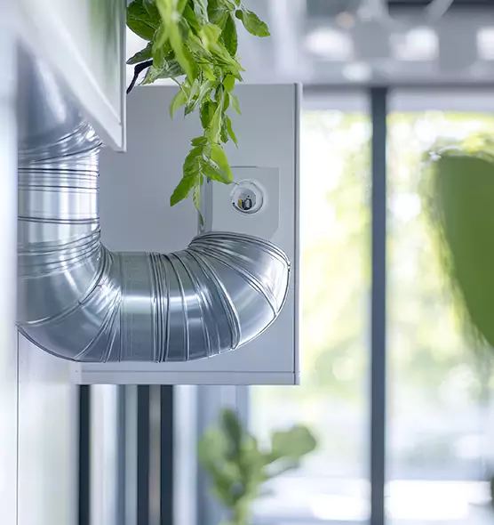 Professional Eco-Friendly Duct Cleaning Services in Gainesville, GA