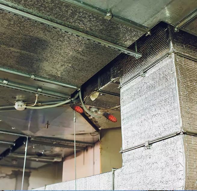 Why Homeowners & Businesses Trust Us in Gainesville, GA?